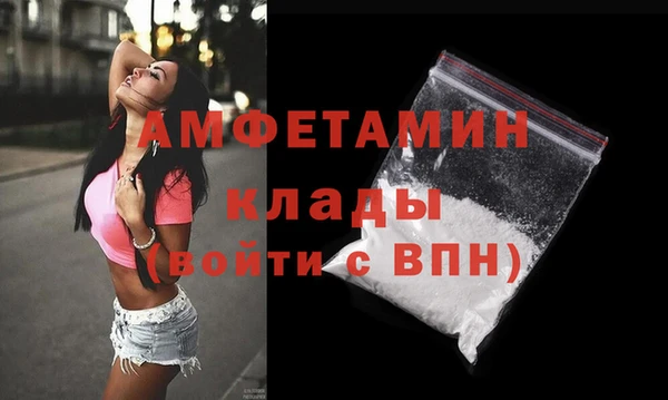 PSILOCYBIN Ельня