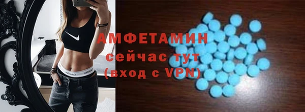 PSILOCYBIN Ельня