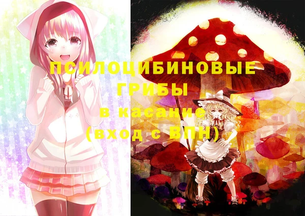 бутират Елизово