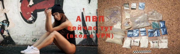 PSILOCYBIN Ельня