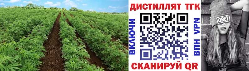 Дистиллят ТГК гашишное масло Ессентуки