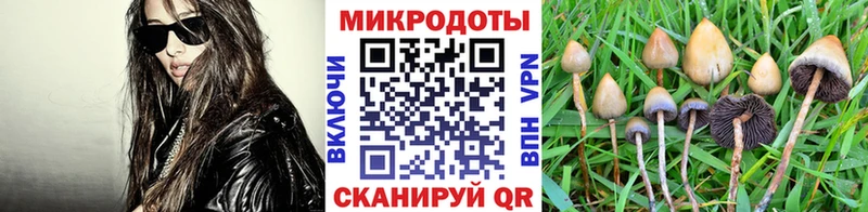Купить  Ессентуки  Галлюциногенные грибы GOLDEN TEACHER 