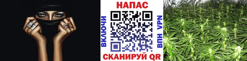 Бошки марихуана Ganja  Купить закладки  Ессентуки 